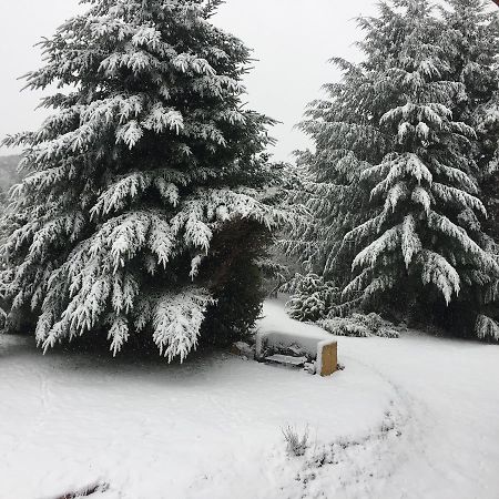 Вілла Terrazas Del Lopez Сан-Карлос-де-Барілоче Екстер'єр фото